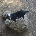Gospodarstwo agroturystyczne Kasparbauer